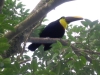 phx-costa-rica-161