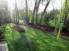 4hBackyard