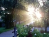 4weblakesideroad