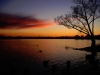 4websunsetducks