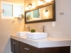 Double sink master